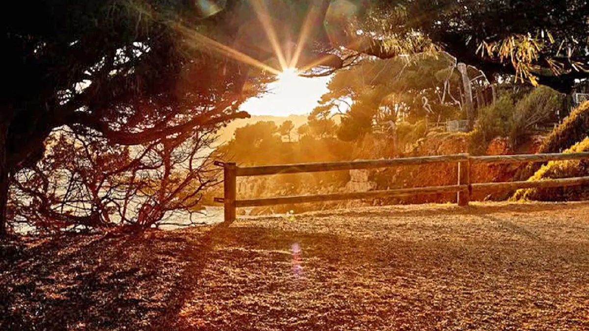 Sentier de randonnée