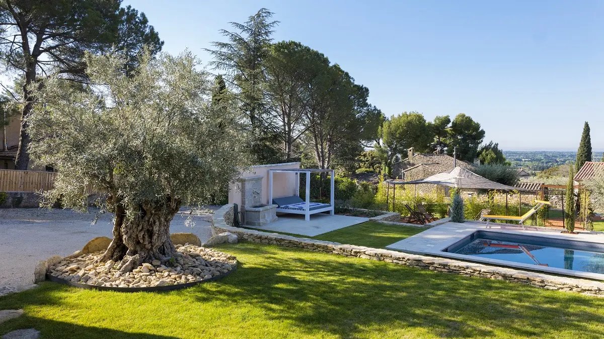 La vue de la piscine