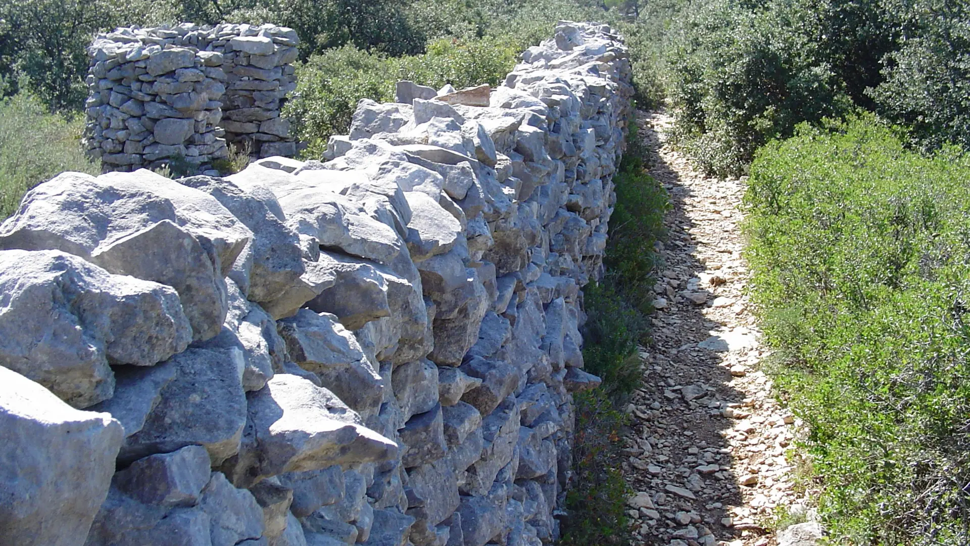 Mur de la peste