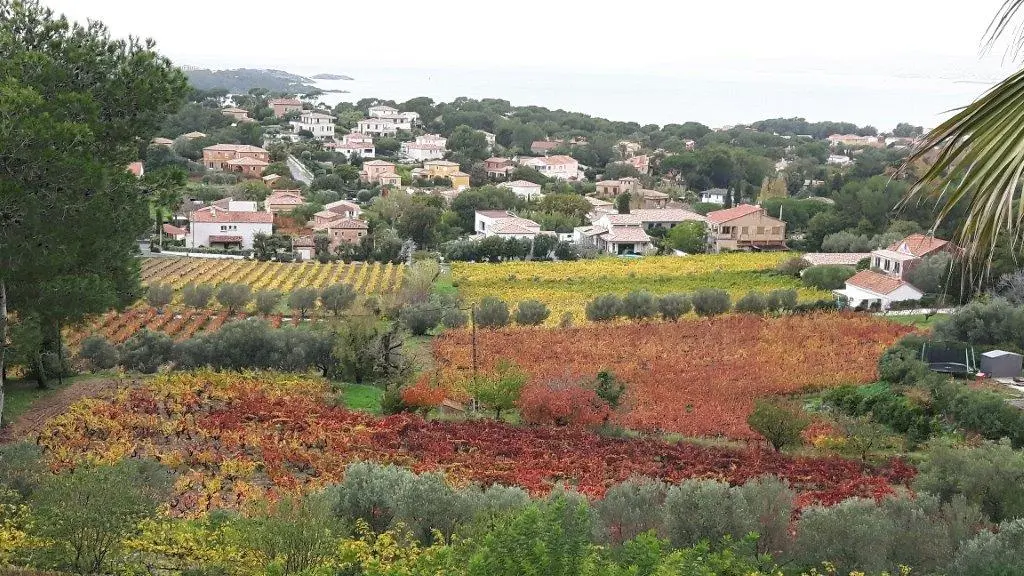 Le domaine à l'automne