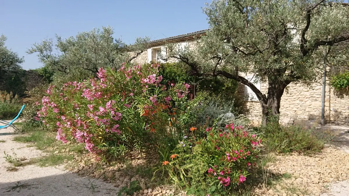 Domaine du Chêne Vert - Gîte La Bergerie - Piscine hors sol en commun