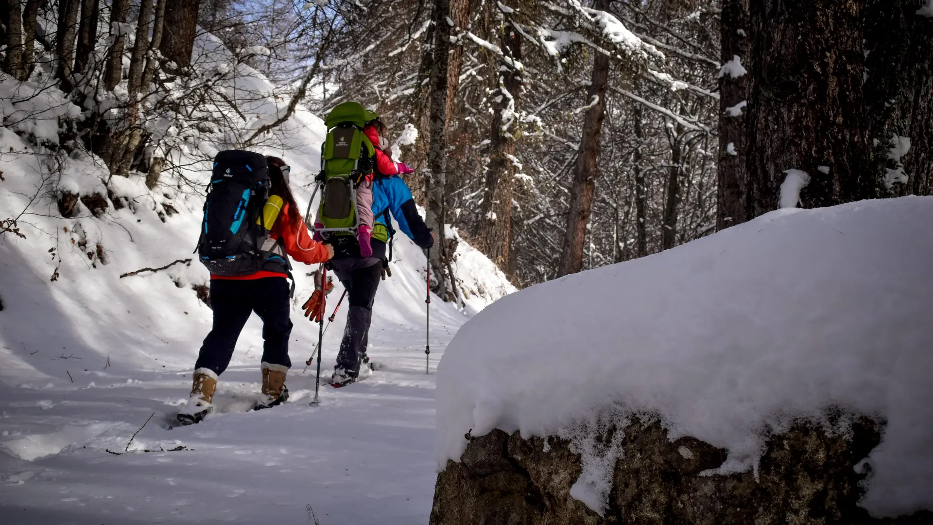 Randonnée raquettes à Chaillol