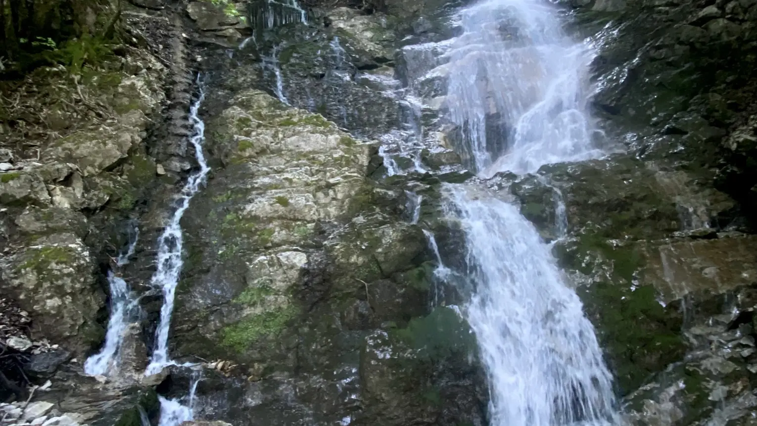 saury cascade