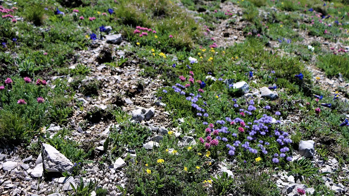 Les crêtes de Luzet