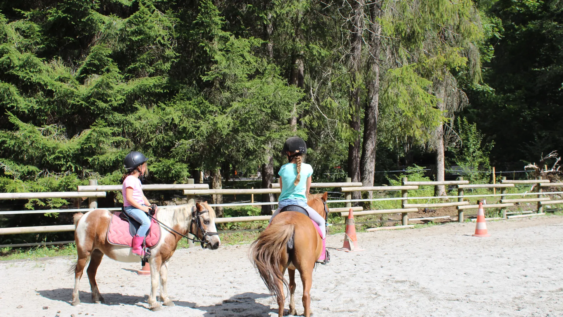Poneys