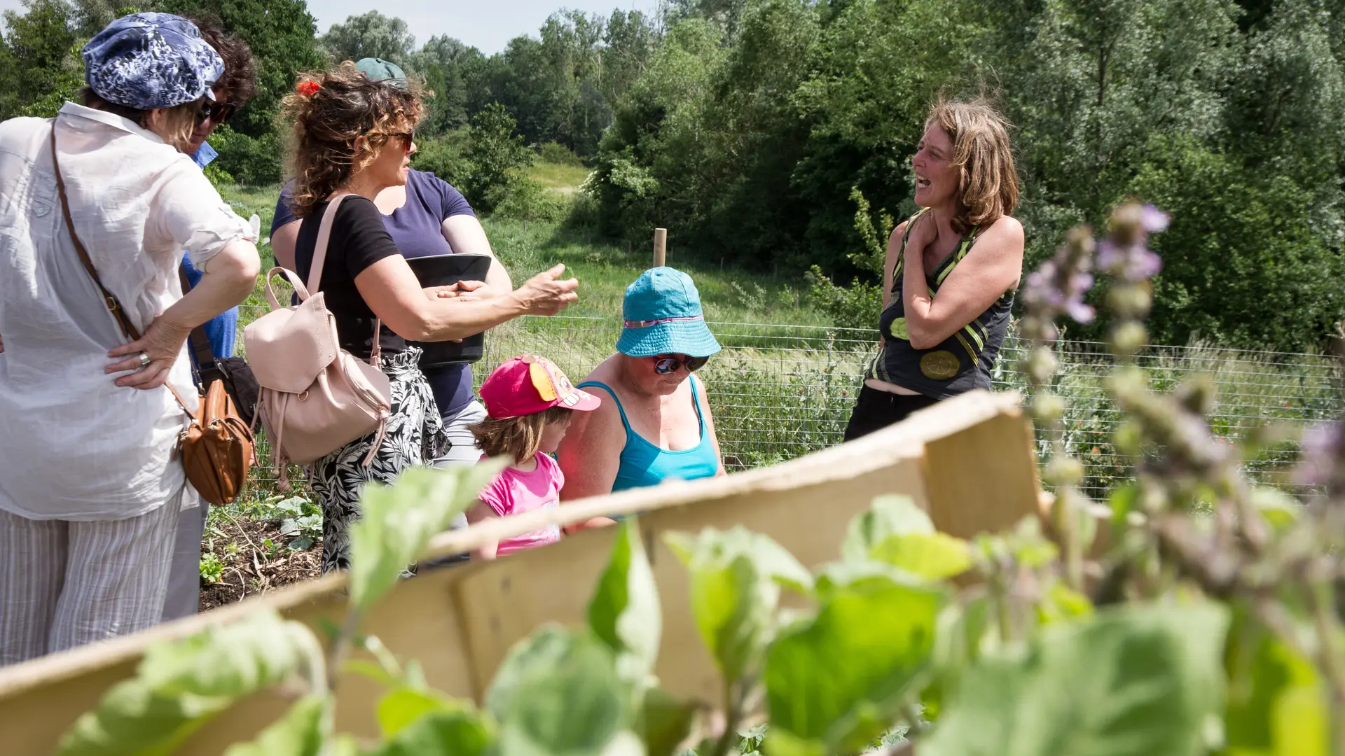 formation en permaculture et conseils personnalisés sur une journée