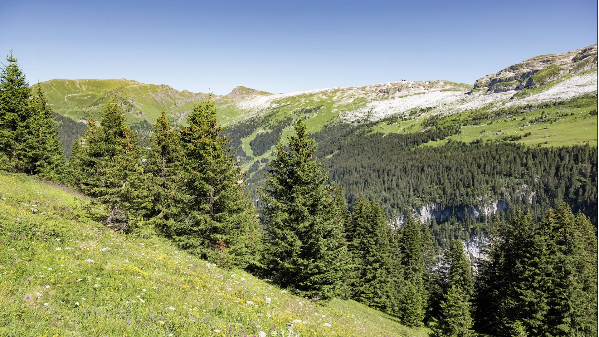 Flaine