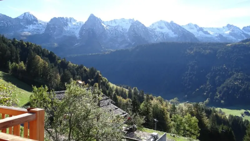 vue été