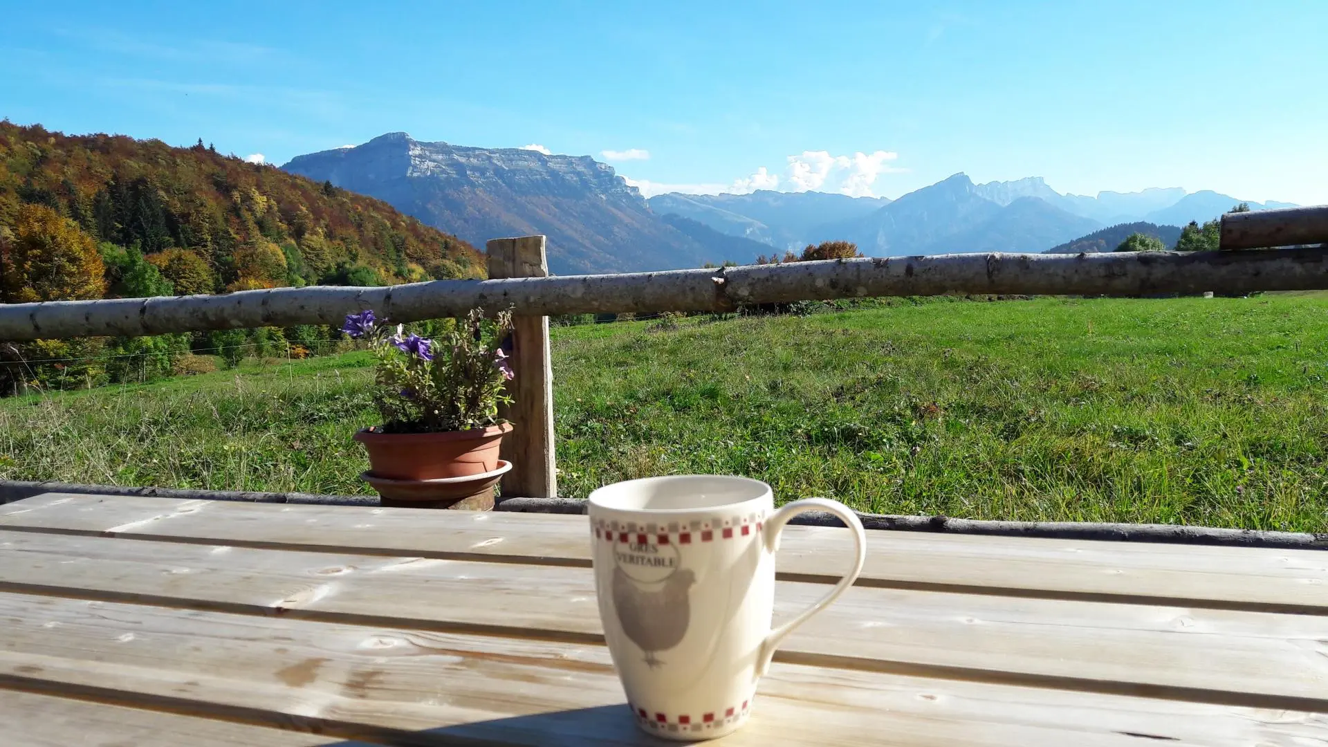 Vue depuis le gîte