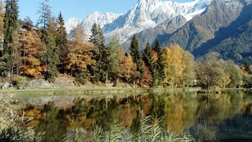 Photo touristique - Lac pour la pêche/parcours de santé