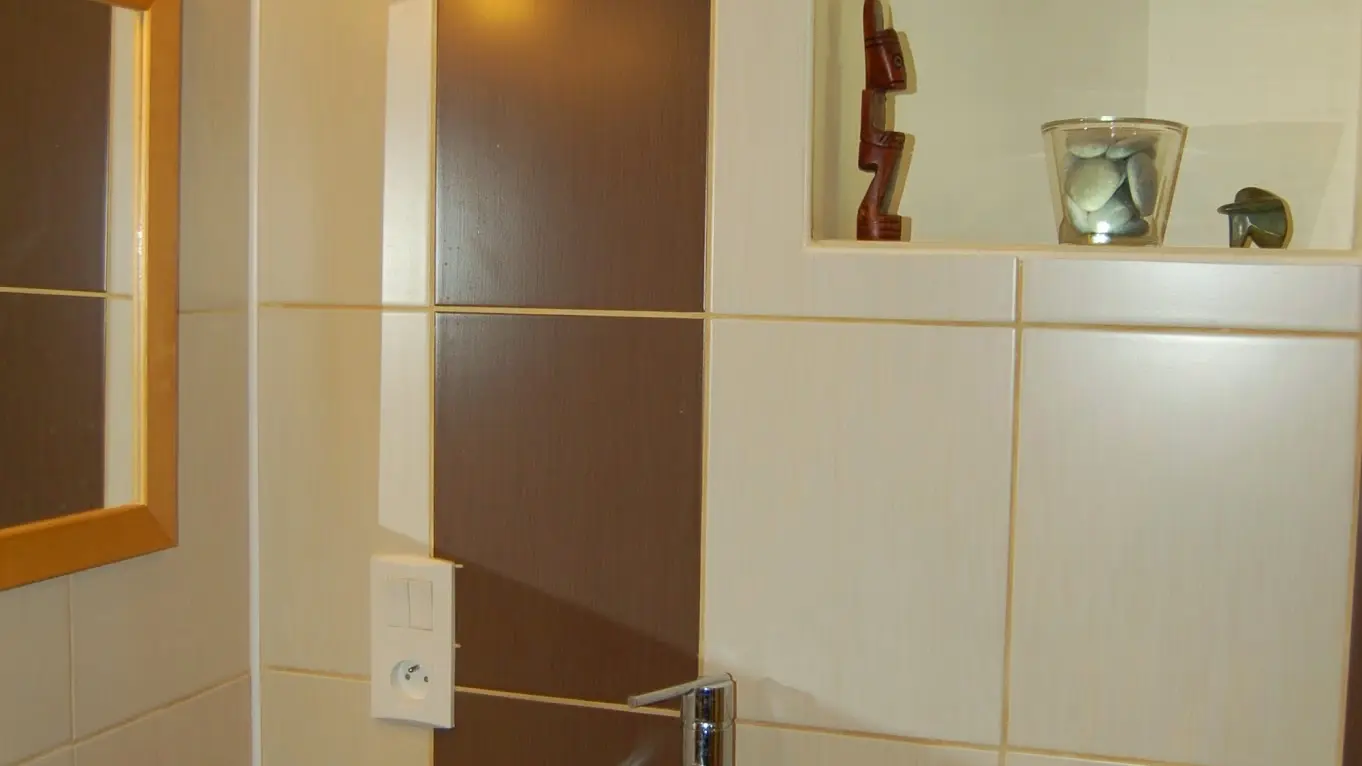 La salle d'eau + WC est partagée