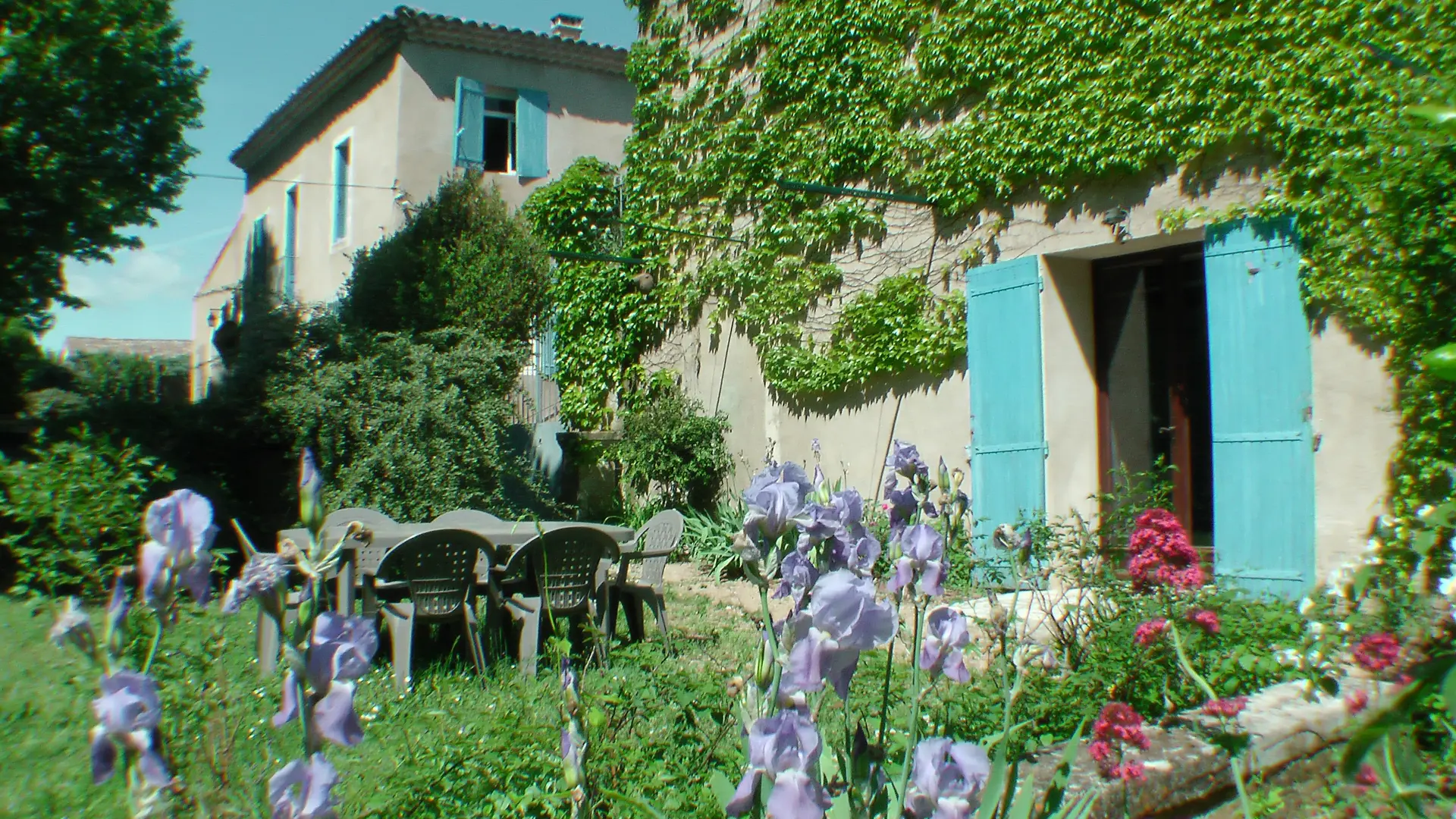 Églantier - Le Moulin des Ocres