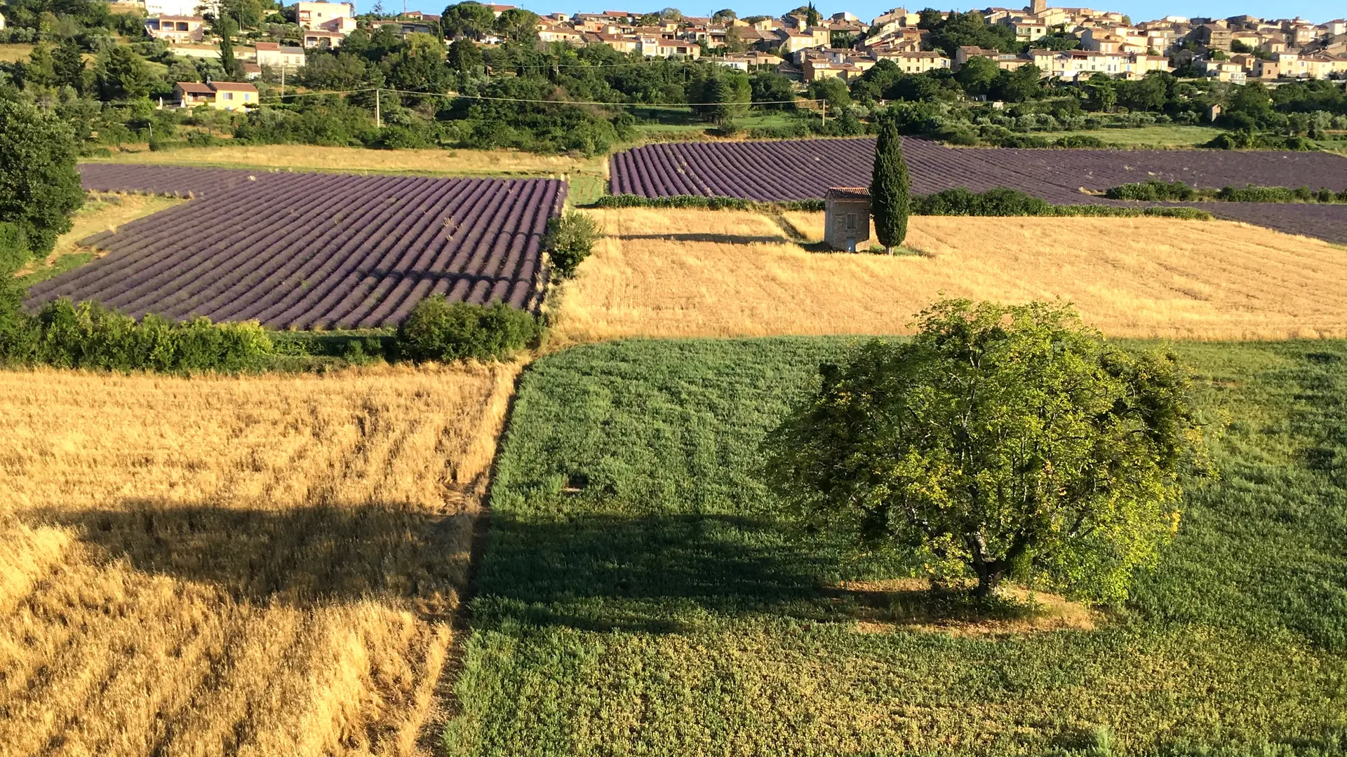 Vol en montgolfière