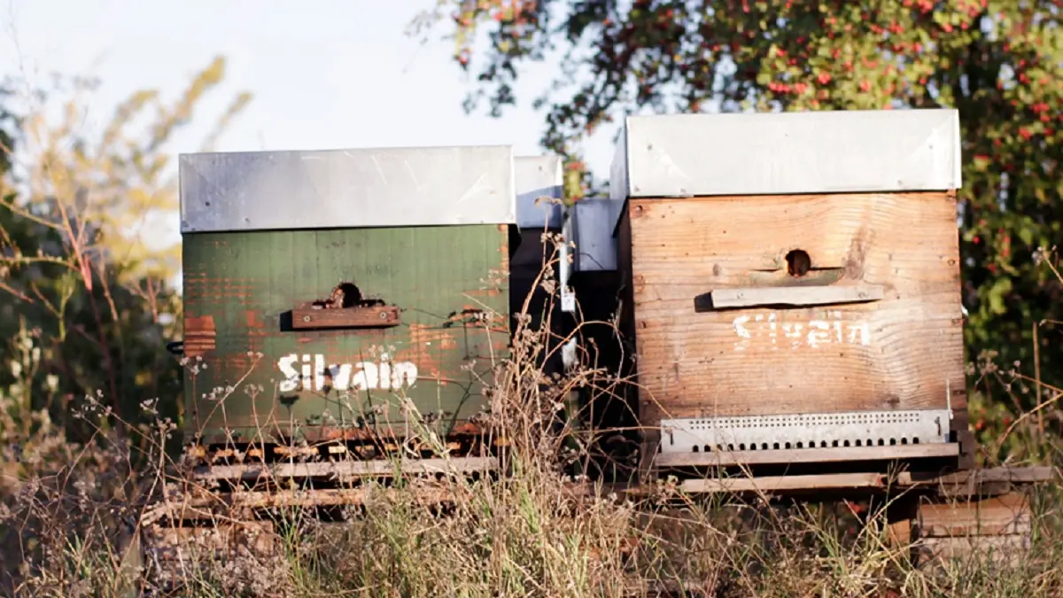 Le sentier pour enfants