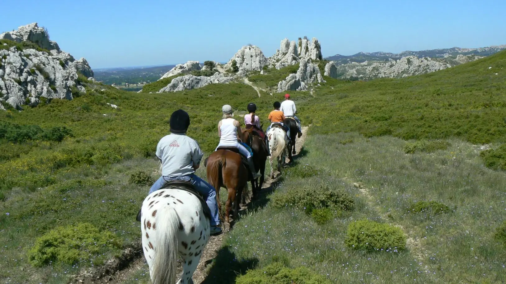 Balades à Cheval dans les Alpilles chez notre fils Sébastien au Petit Roman