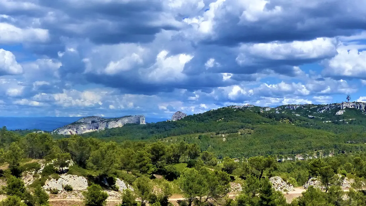 Le plateau de la Caume_Saint-Rémy-de-Provence