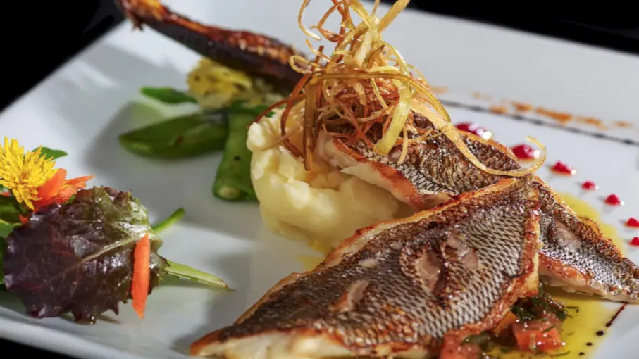 Tendance Bistrot_Le Thor plat