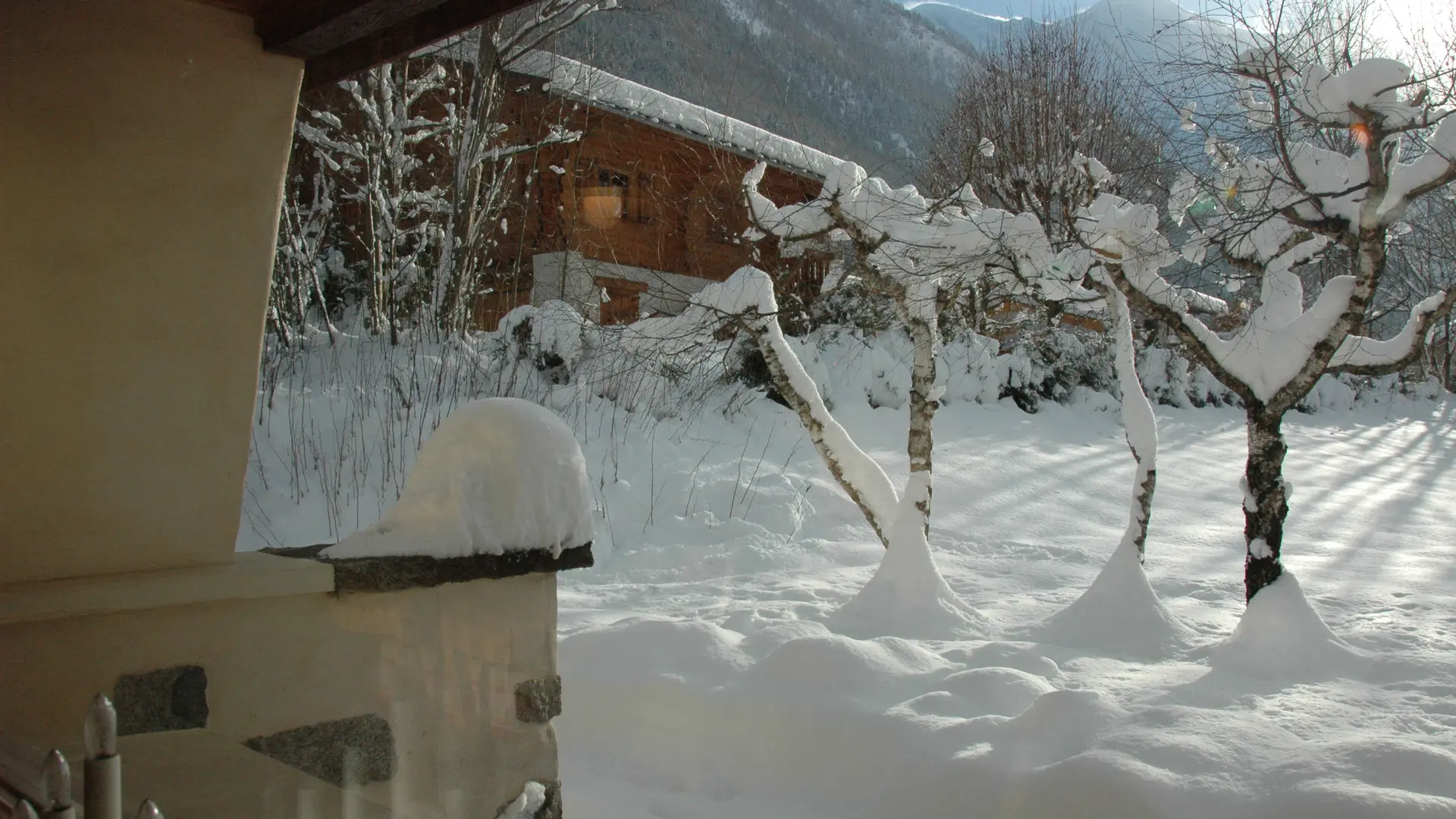 Chalet-mitoyen-Vasa36-Wibault