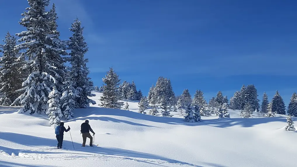 Nouvelle activité neige