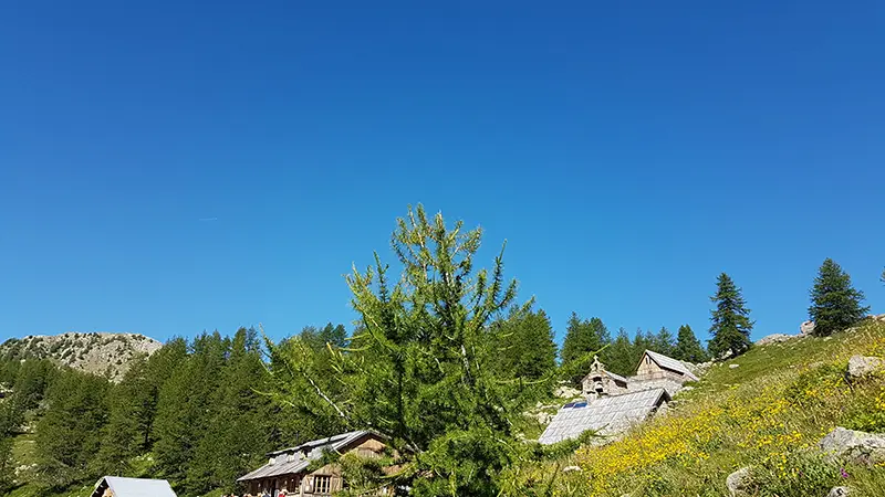 le refuge du lac d'allos et son restaurant