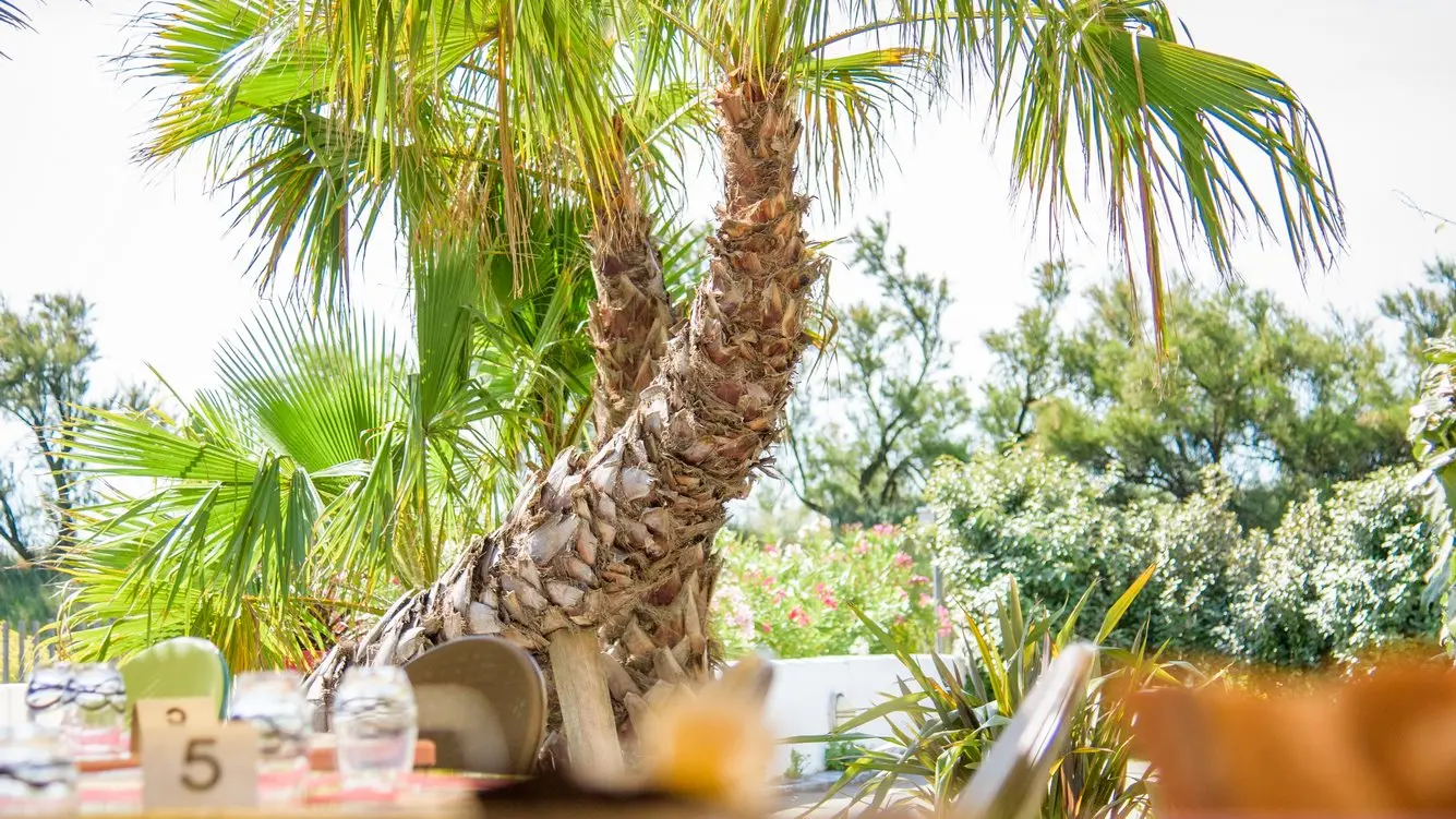 Terrasse du restaurant Le Martray