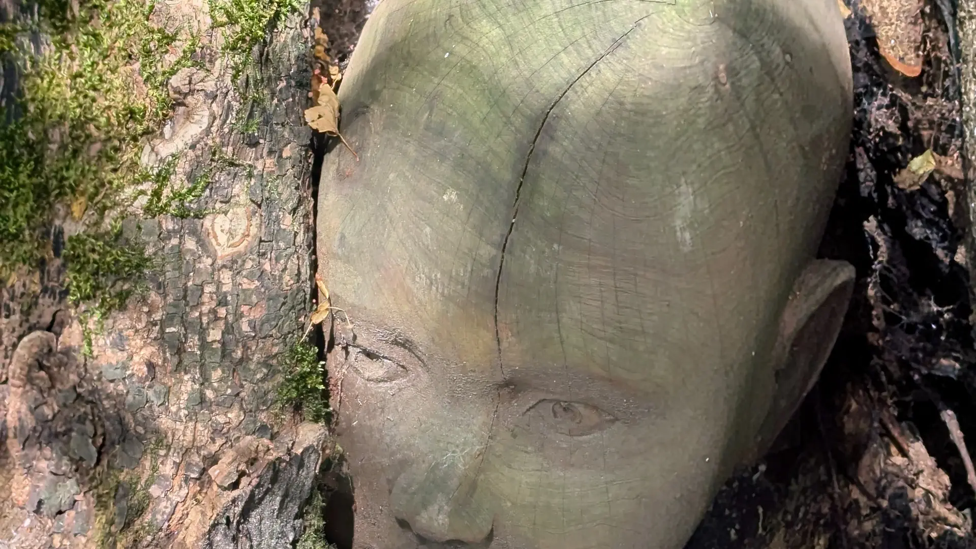 Sculpture d'une tête d'enfant dans un tronc d'arbre après la partie raide du chemin des Izards