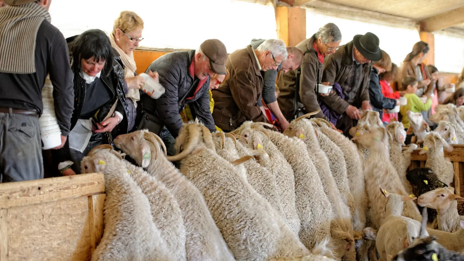 La Ferme du Col JARJAYES