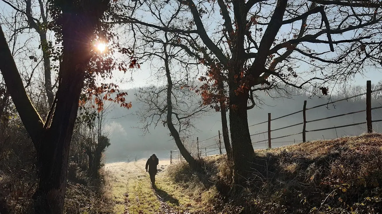 Vous aurez accès à de nombreuses randonnées.