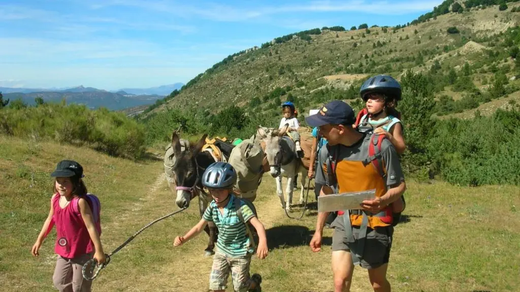 Randonnée avec des ânes