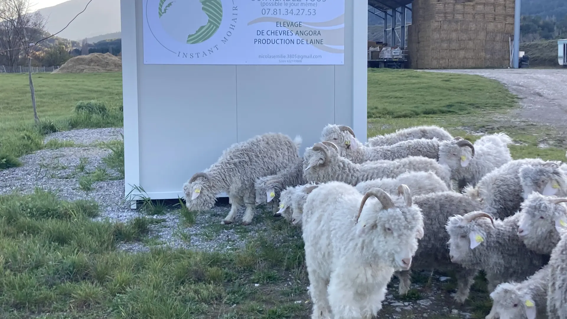 Entrée de la Ferme Inxtant mohair