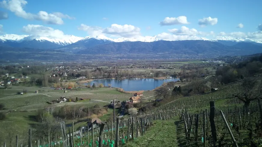 Domaine Dacquin