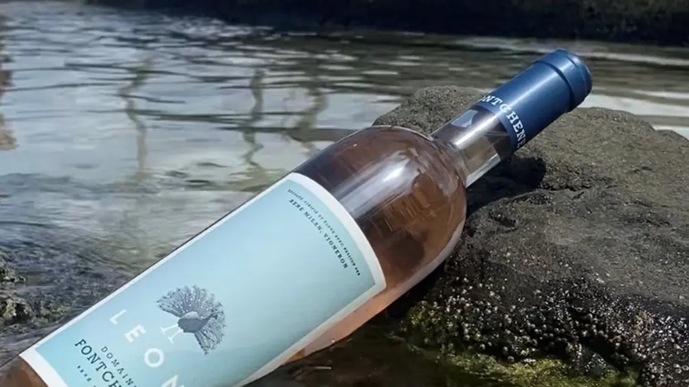 Domaine viticole, Domaine de Fontchêne, à Saint-Rémy-de-Provence