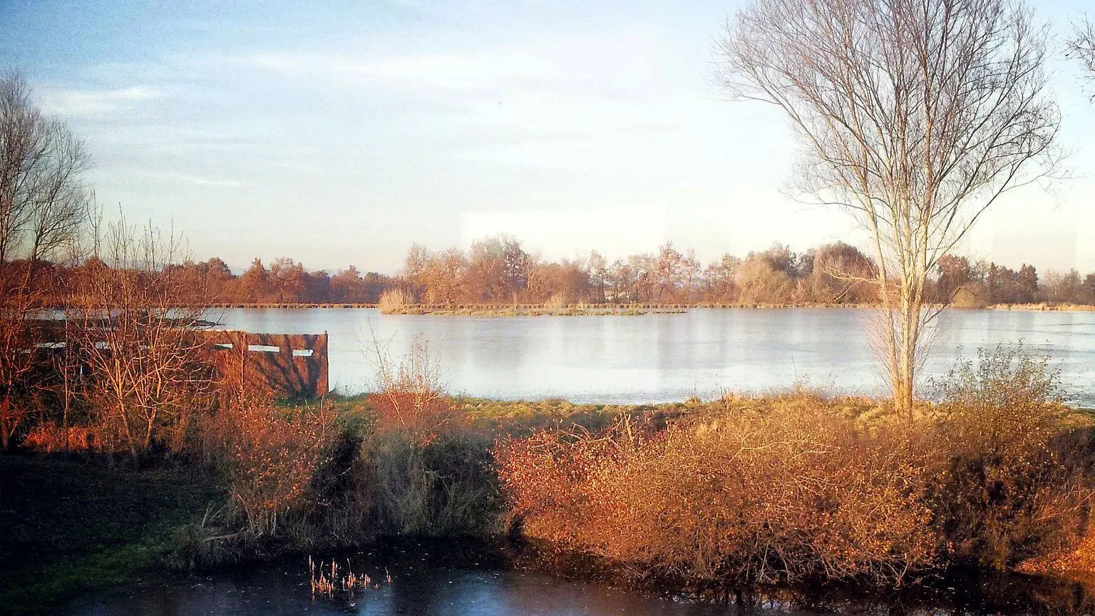 Réserve de Biterne