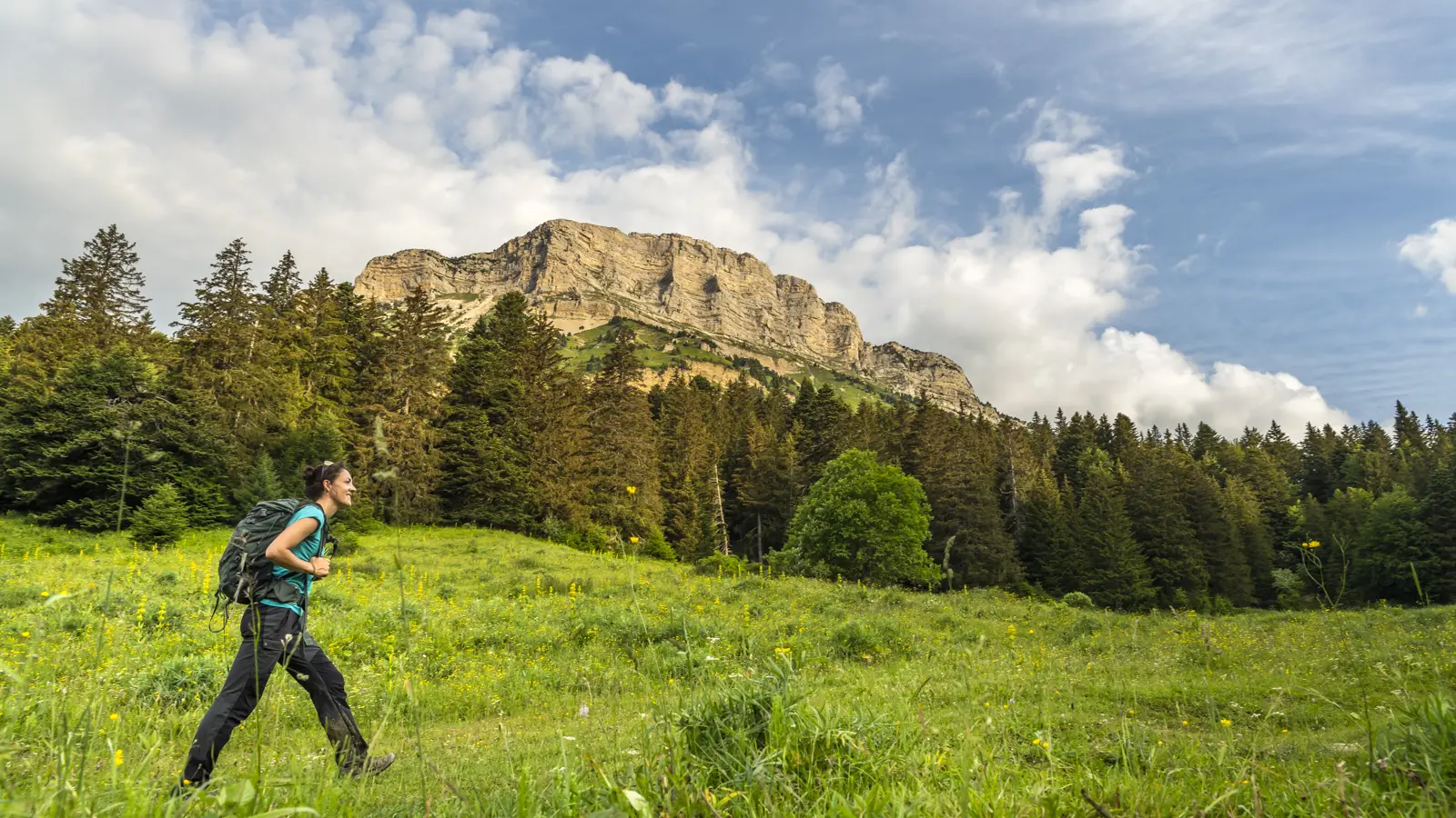 La boucle des Emeindras et le Habert de Chamechaude