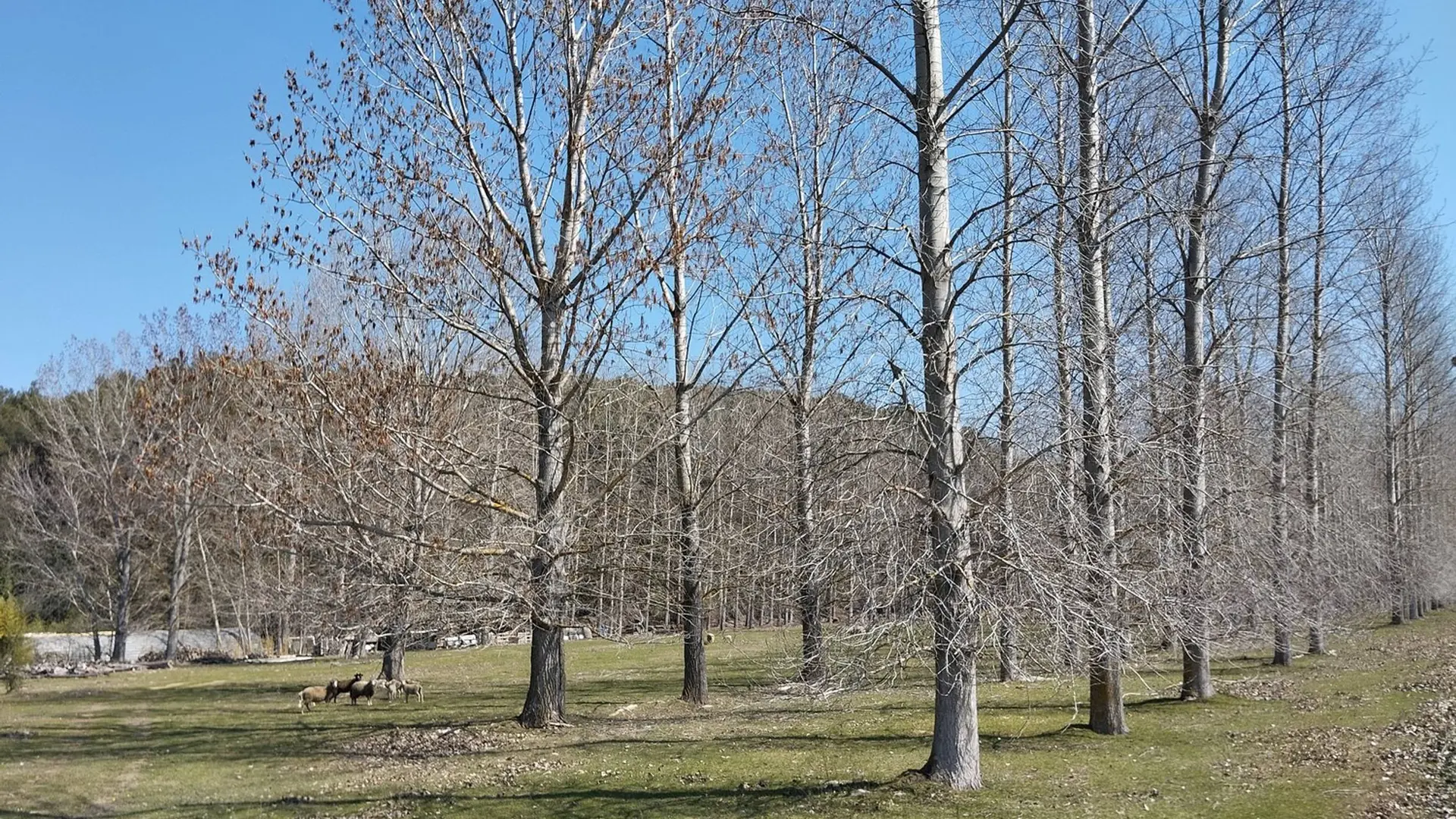 Milieux agricoles de Puget