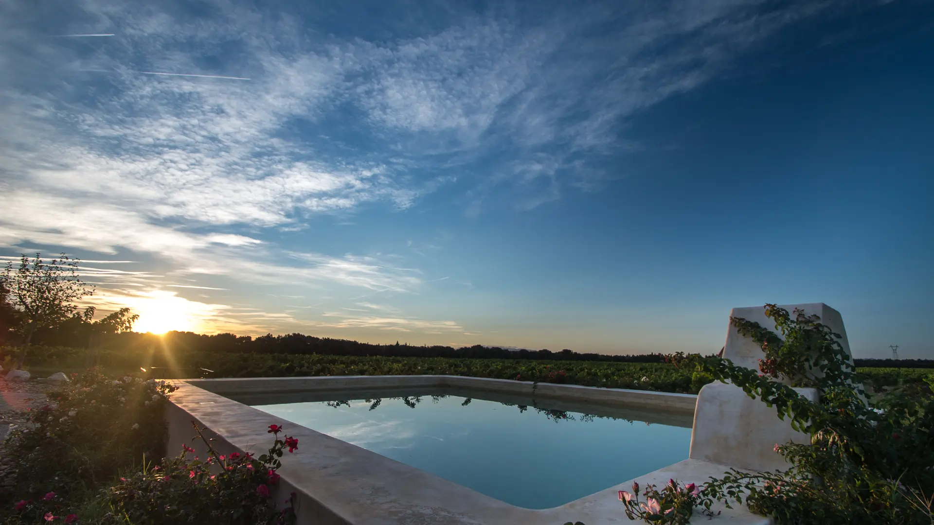 Vue depuis la piscine des vignes du domaine