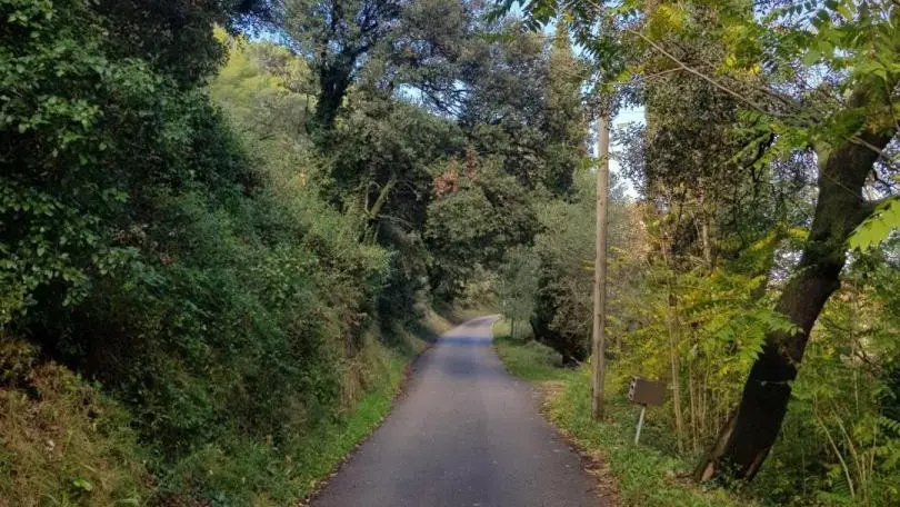 En randonnée, le long de la Montagnette en automne,