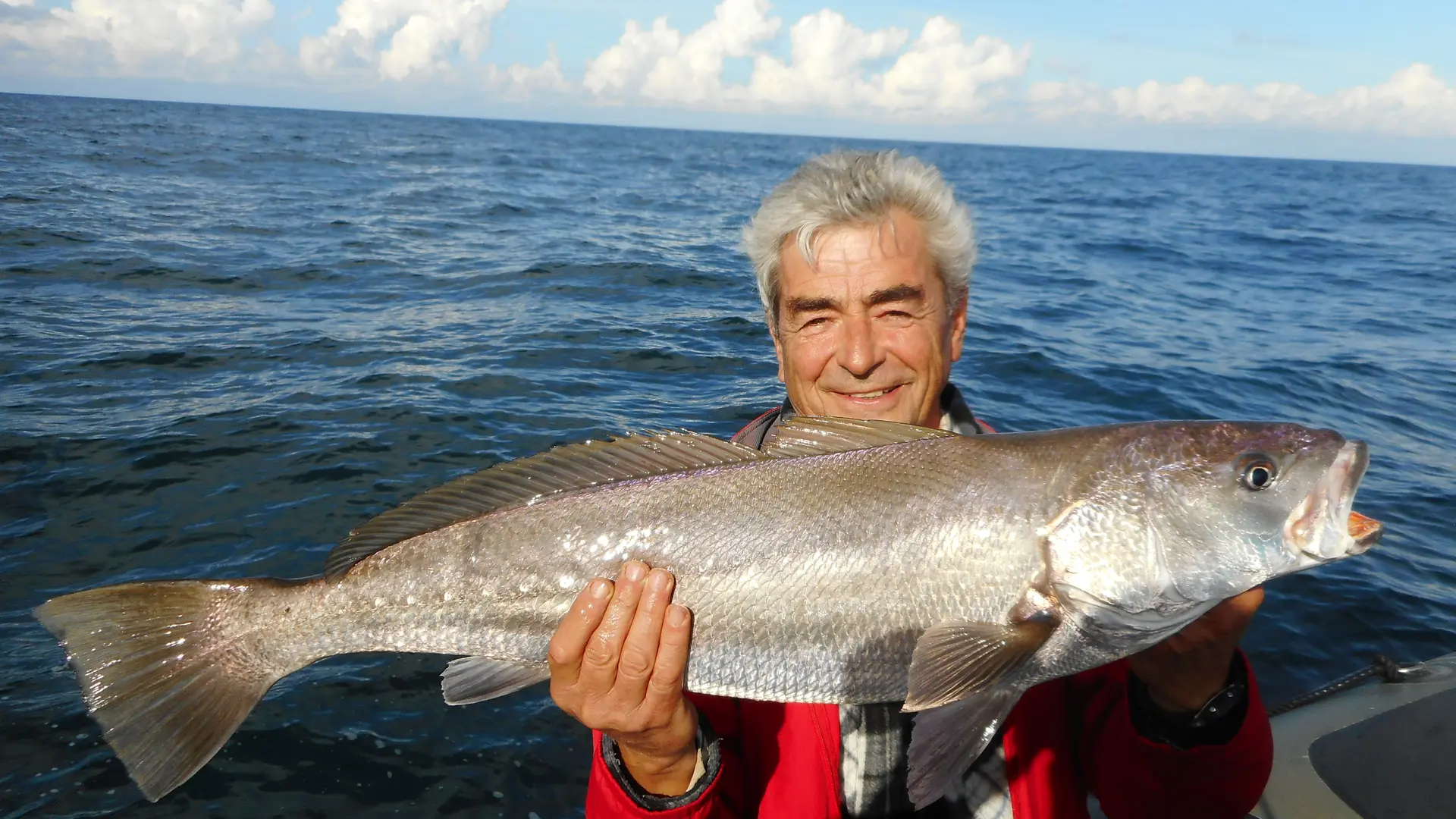Pesca en el mar con cebos