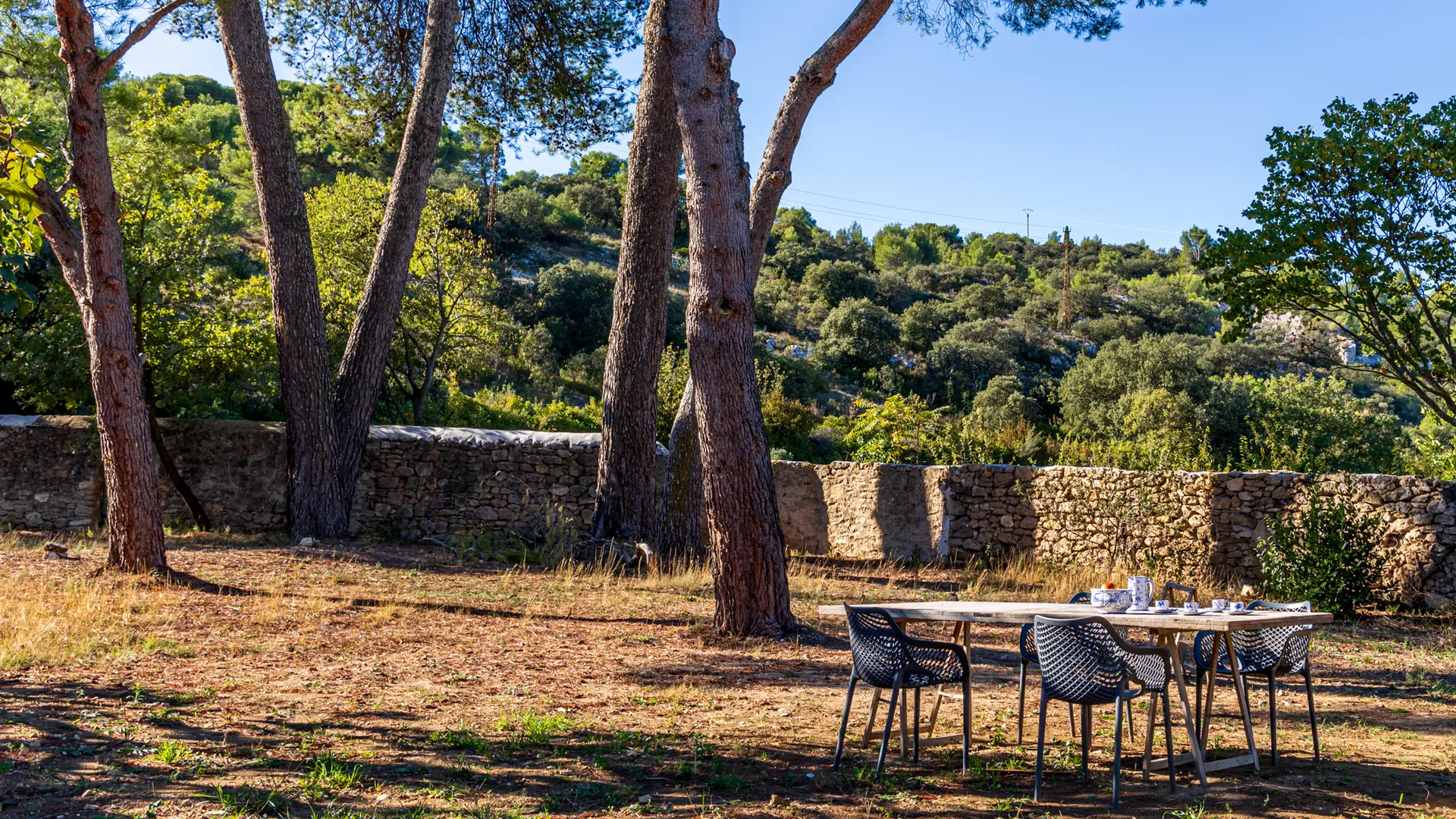 Un jardin arboré vous attend pour des moments de détente