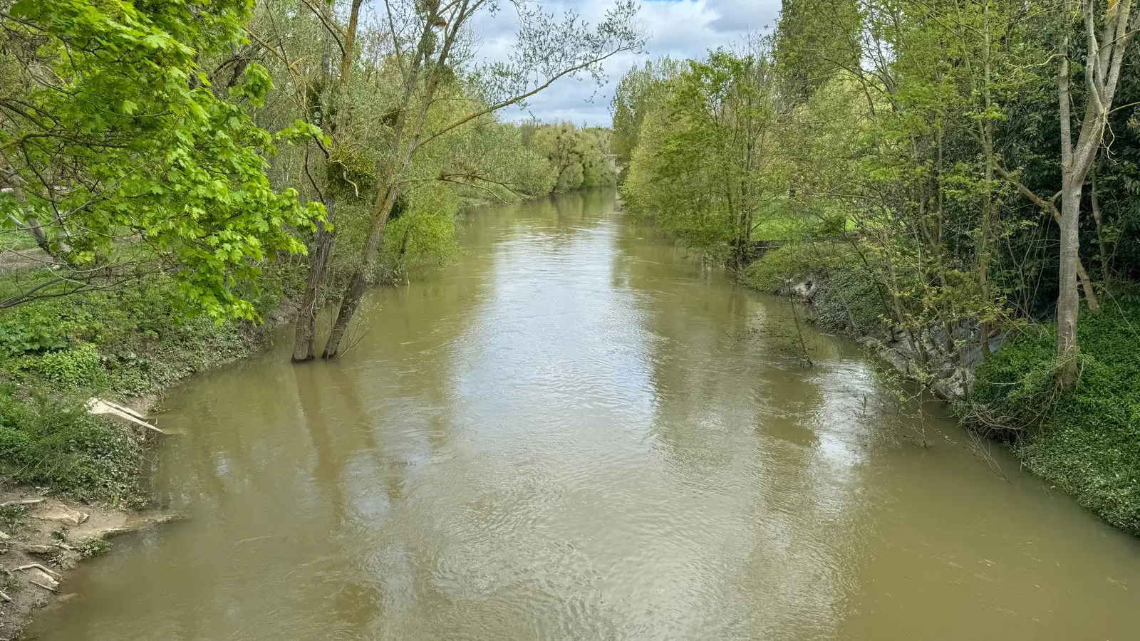 Berges de Seine Maisons-Laffitte