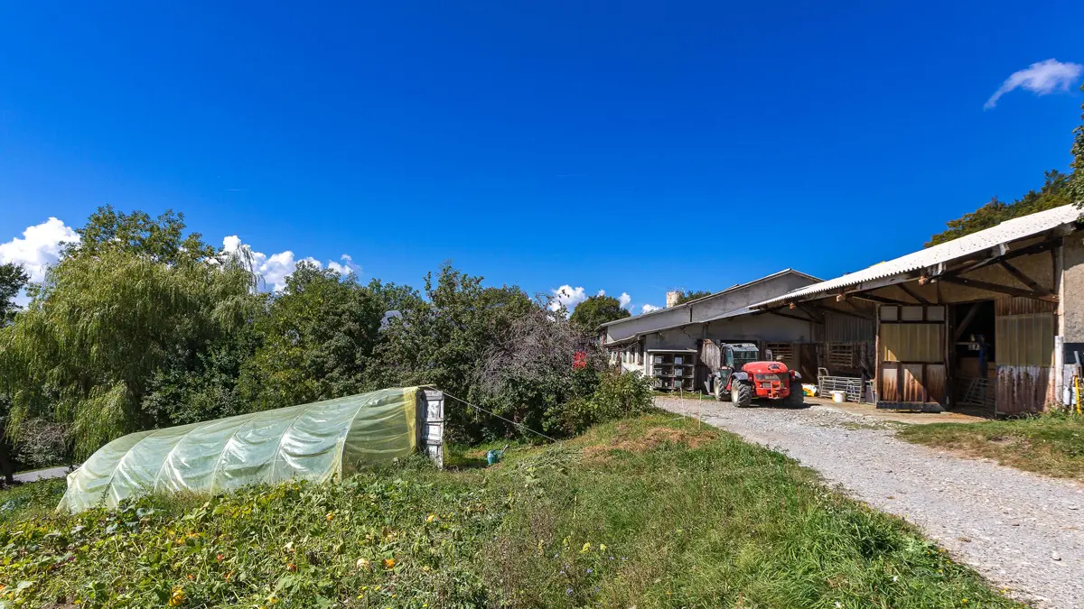 Visite de la ferme pédagogique GAEC du Caïre, Chaillol, vallée du Champsaur