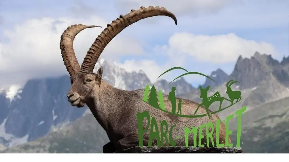 Photo touristique - Parc de Merlet à faire en famille ou en amoureux: marmottes, bouquetins, chevreuils