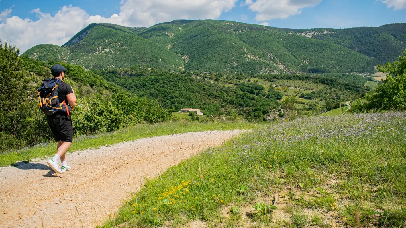 tour de la citadelle