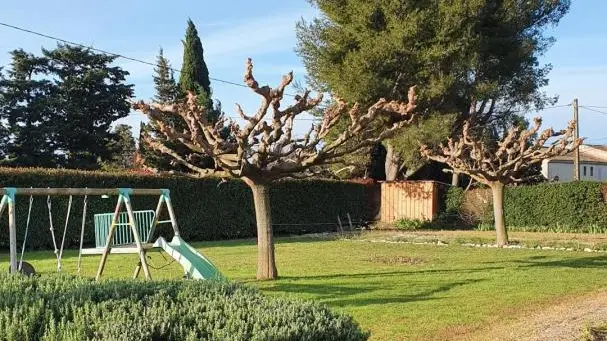 Jardin