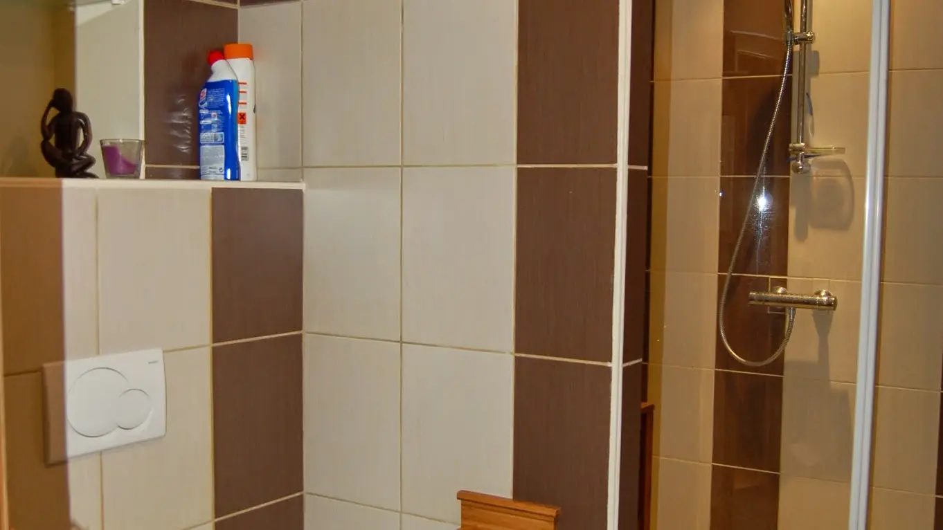 Salle d'eau + WC partagée