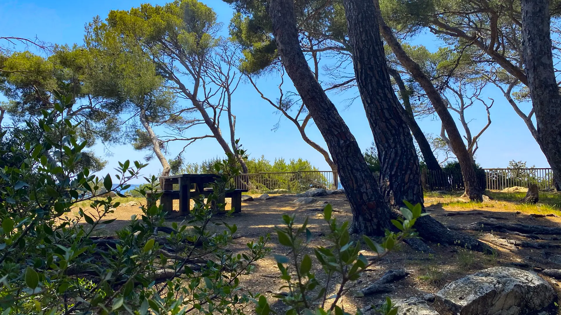 Espace Victorin Blanc 2