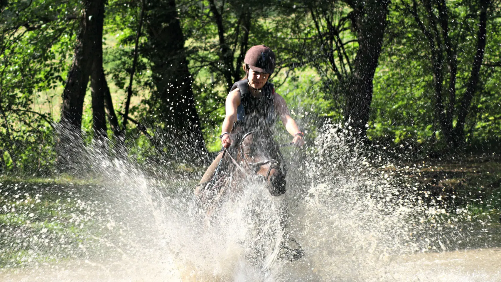 Equitation aux Ecuries de Crossey