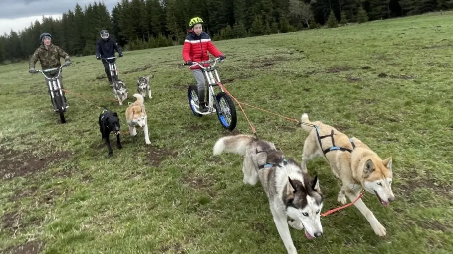 Dog Scooter - Evolution 2_Chamonix-Mont-Blanc