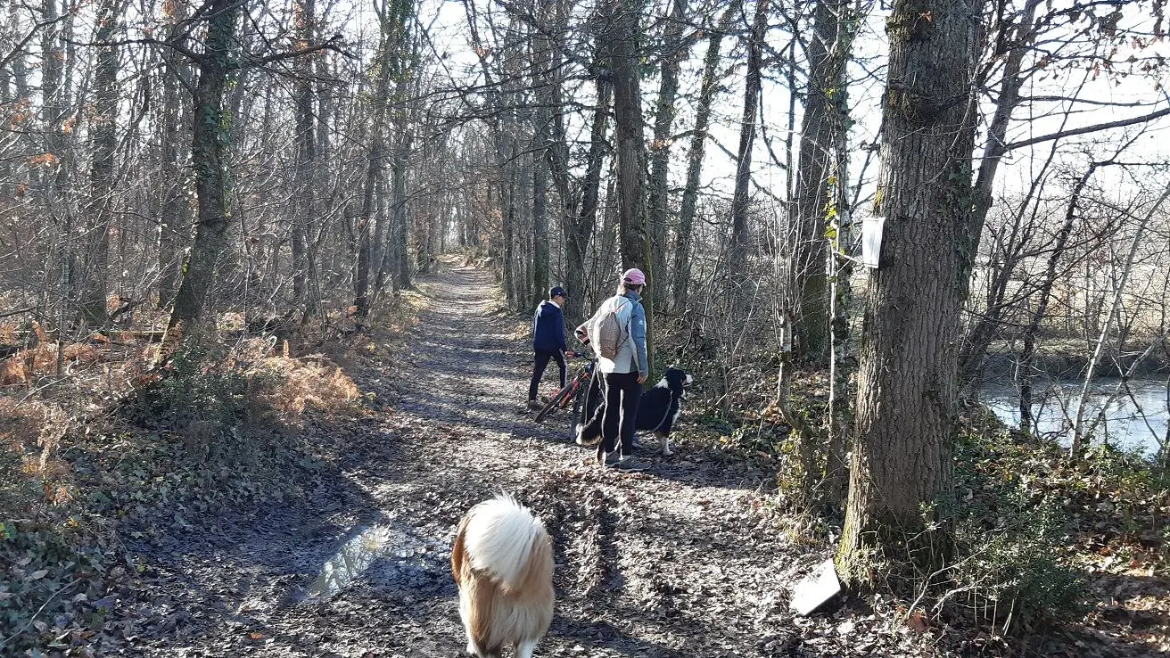 Vous pourrez vous balader en forêt.