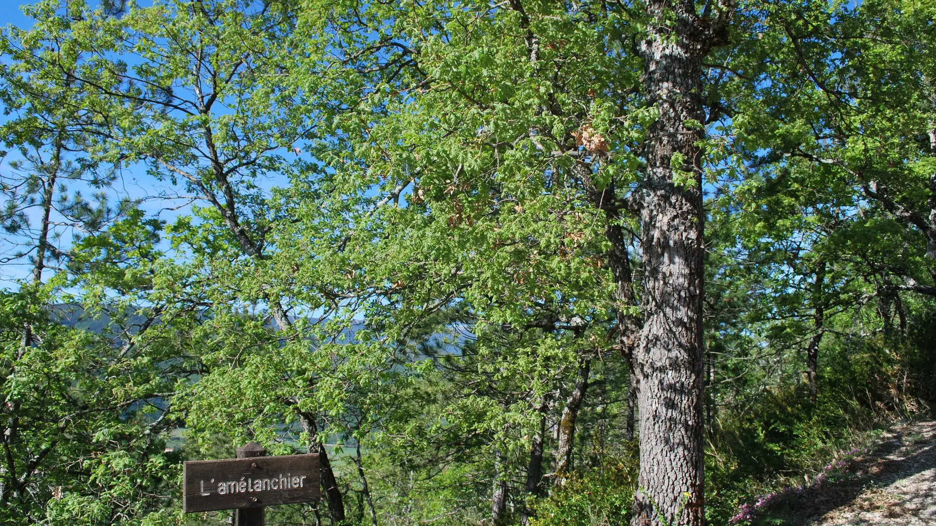 Le sentier botanique